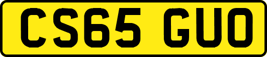 CS65GUO