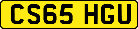 CS65HGU