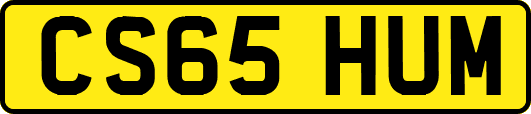 CS65HUM