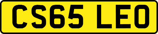 CS65LEO