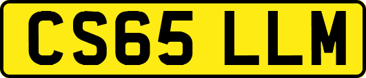 CS65LLM