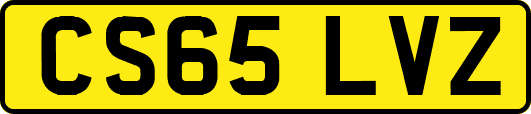 CS65LVZ