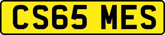 CS65MES