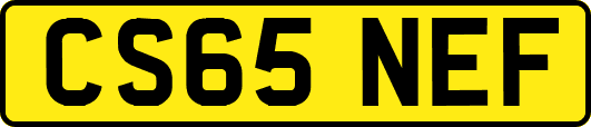 CS65NEF
