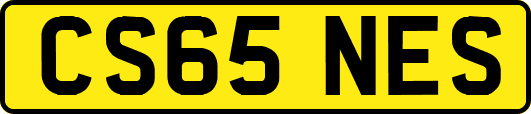 CS65NES