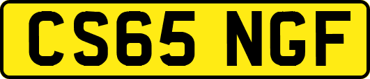 CS65NGF