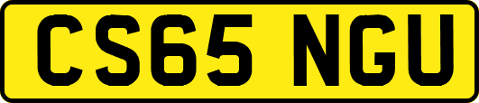 CS65NGU