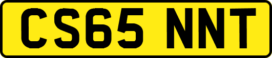CS65NNT