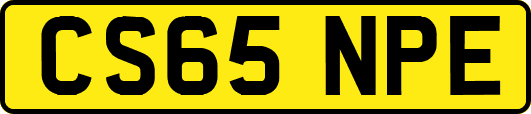 CS65NPE