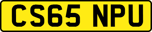 CS65NPU