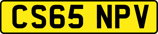 CS65NPV