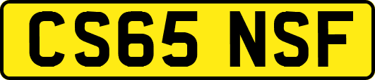 CS65NSF