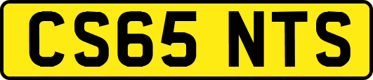 CS65NTS