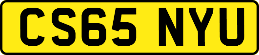 CS65NYU