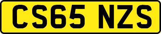 CS65NZS