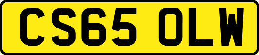 CS65OLW