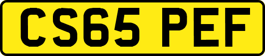 CS65PEF