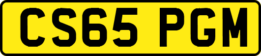 CS65PGM