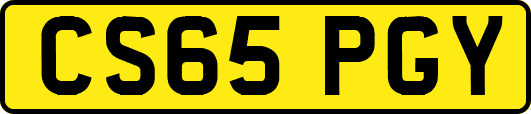 CS65PGY