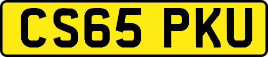 CS65PKU