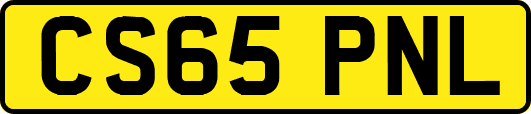 CS65PNL