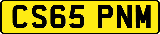 CS65PNM