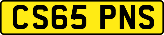 CS65PNS