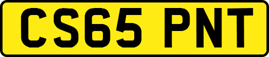CS65PNT