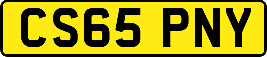 CS65PNY