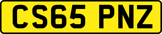 CS65PNZ