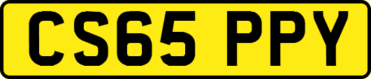 CS65PPY
