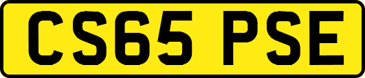 CS65PSE