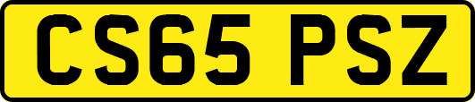 CS65PSZ