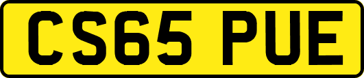 CS65PUE