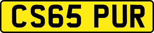 CS65PUR