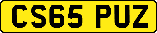 CS65PUZ