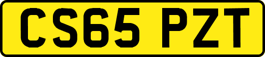 CS65PZT