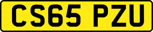 CS65PZU