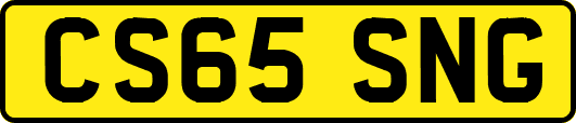 CS65SNG