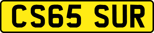 CS65SUR