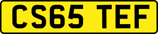 CS65TEF