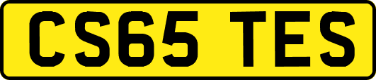 CS65TES