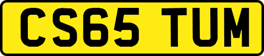 CS65TUM