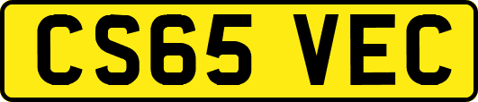 CS65VEC