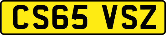 CS65VSZ