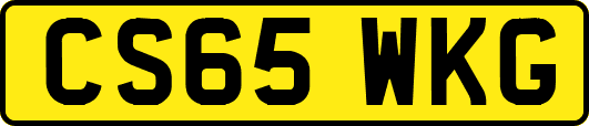CS65WKG