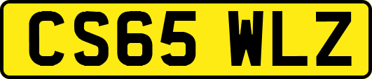 CS65WLZ