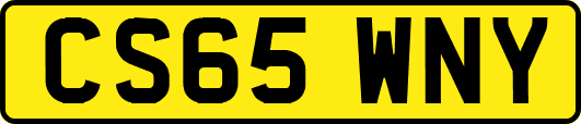CS65WNY