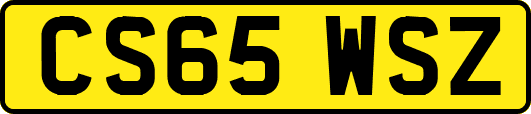 CS65WSZ