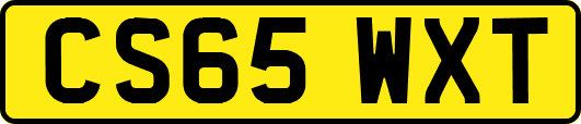 CS65WXT
